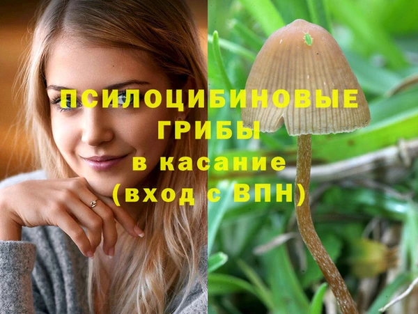 дмт Алексеевка